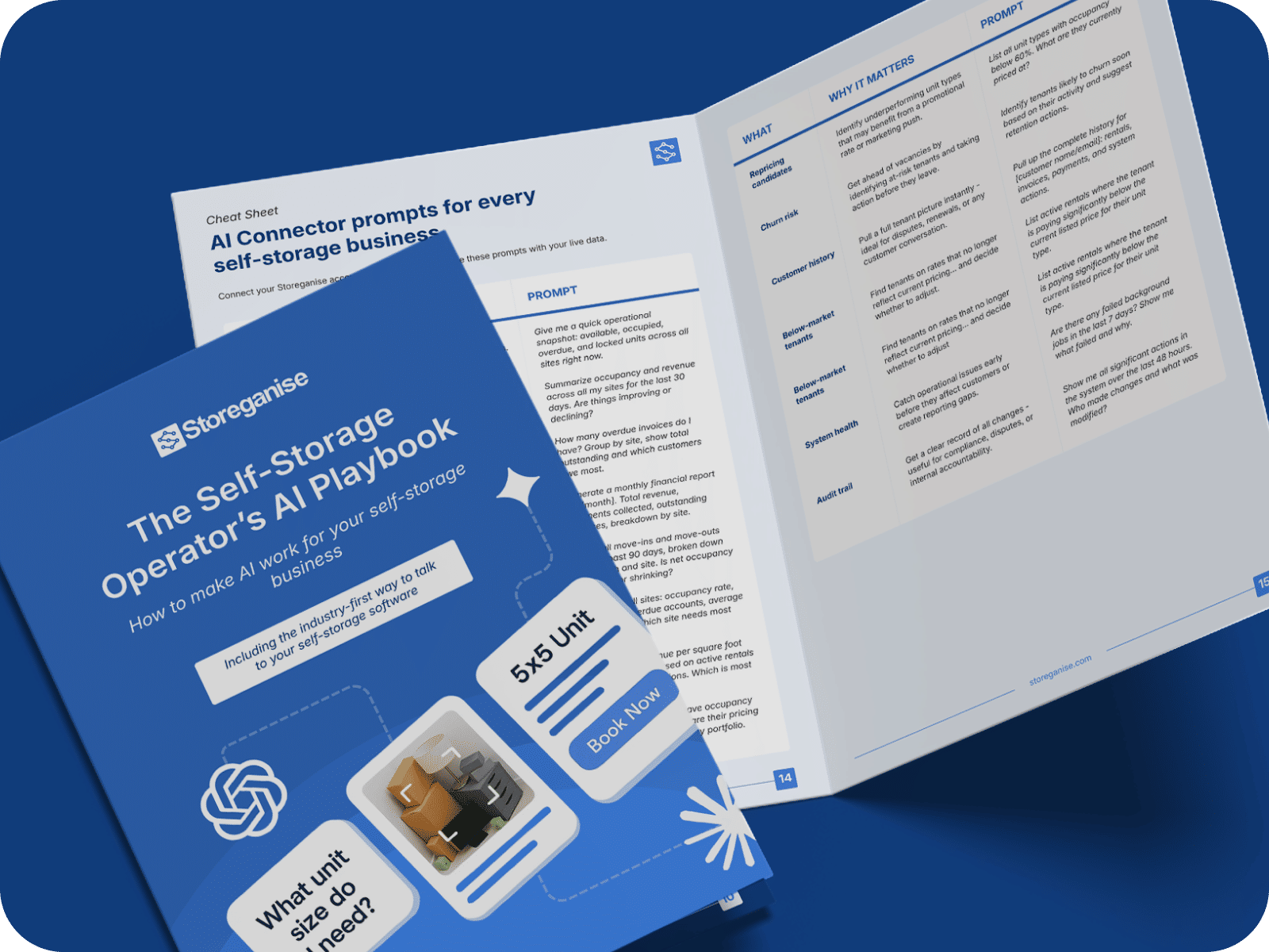 Newsletter-ebook-image