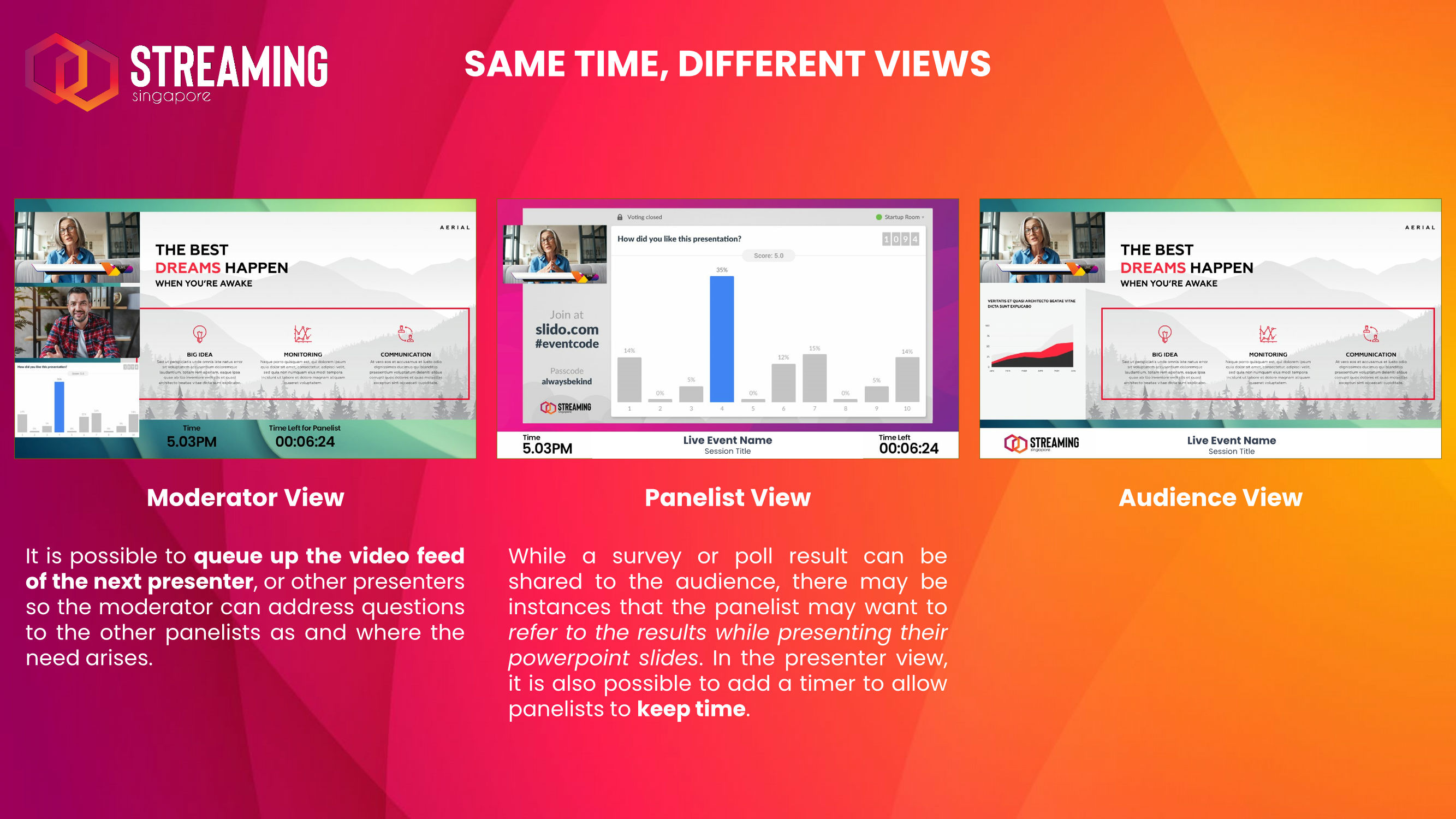 Multiple types of views for Moderators, Panelists and Audience concurrently