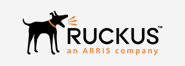 Ruckus Access Points Zone Director Rentals