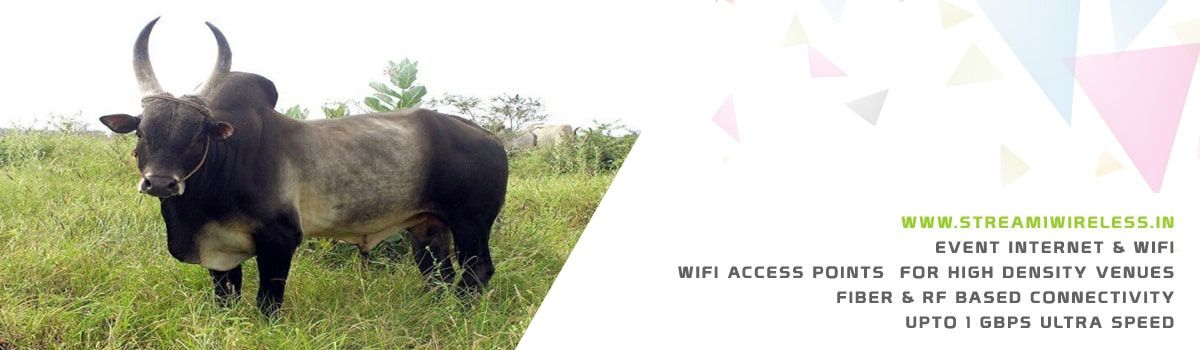 High Speed Event Temporary Internet, Wifi & IT Infrastructure Service Provider kangeyam