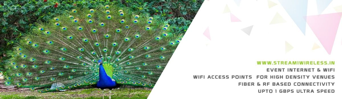 High Speed Event Temporary Internet, Wifi & IT Infrastructure Service Provider viralimalai