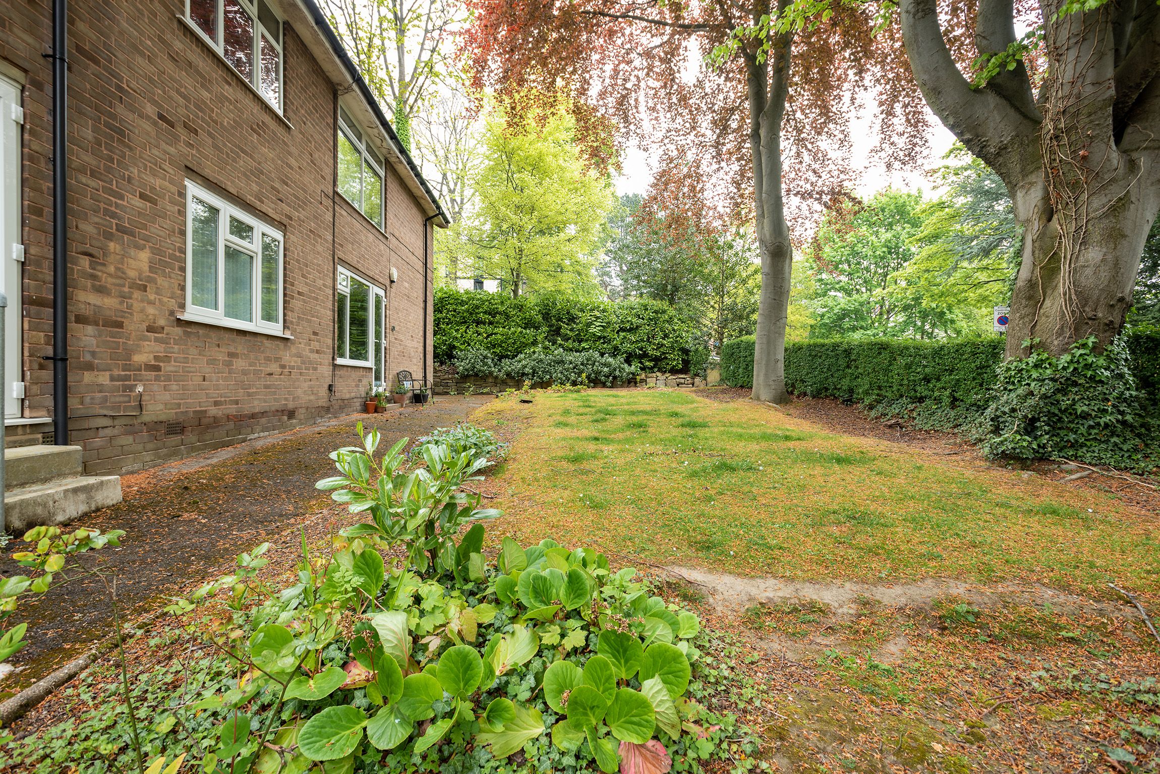 Riverdale Road, Sheffield, S10 Street