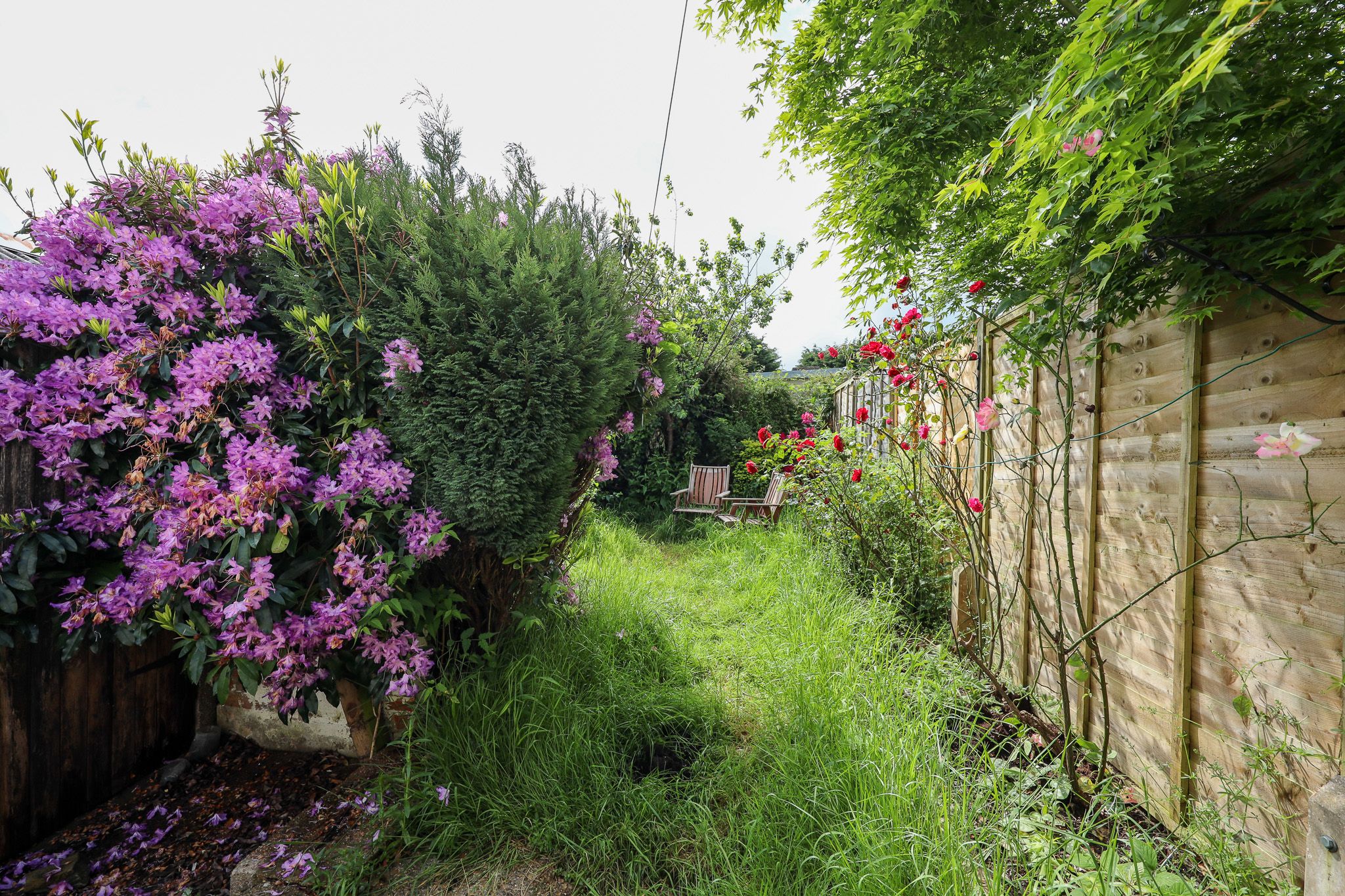 Noel Rise, Burgess Hill, RH15 Street