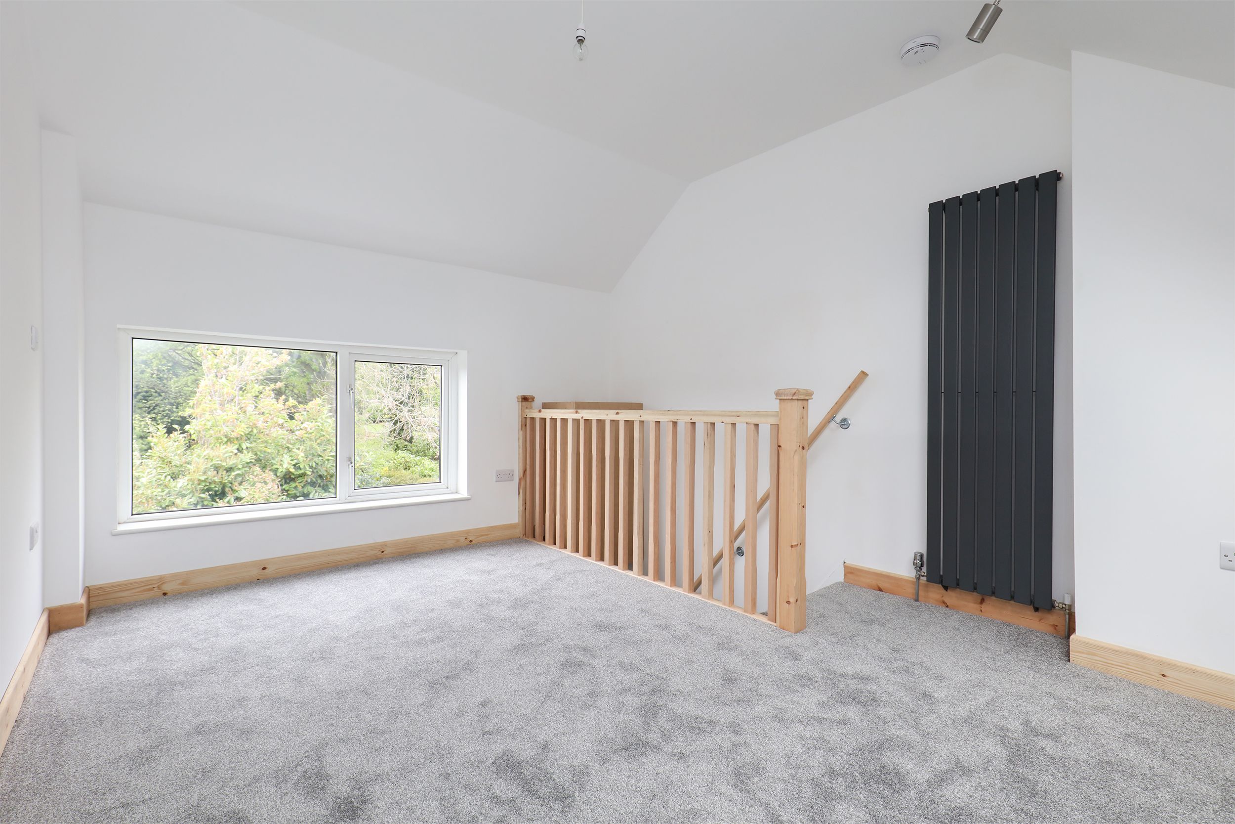 Chorley Road, Sheffield, S10 Street