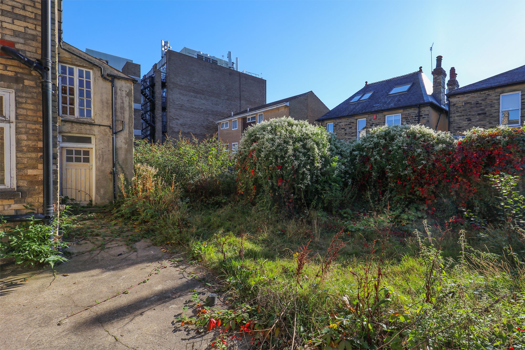 Ashdell Road, Sheffield, S10 Street