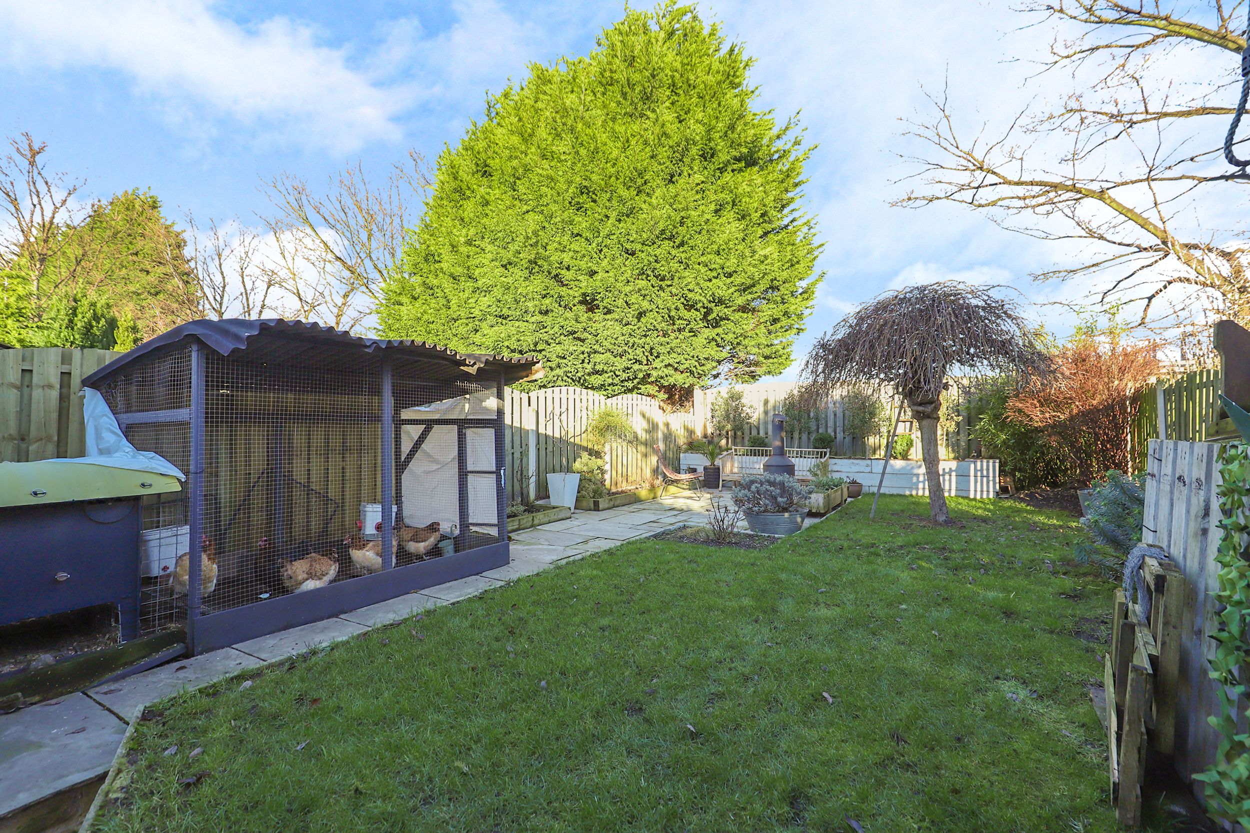 Birklands Avenue, Sheffield, S13 Street