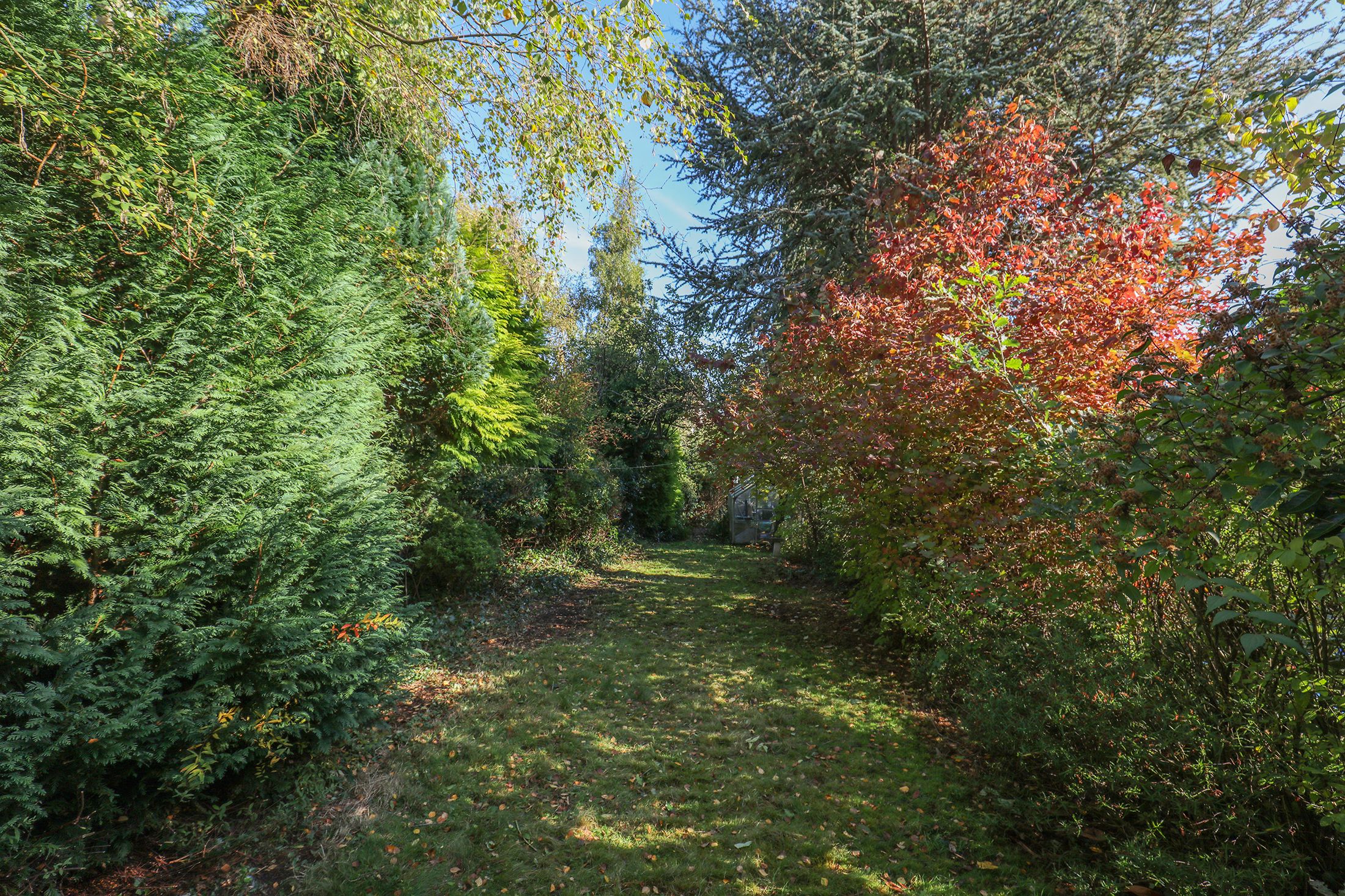 Tom Lane, Sheffield, S10 Street