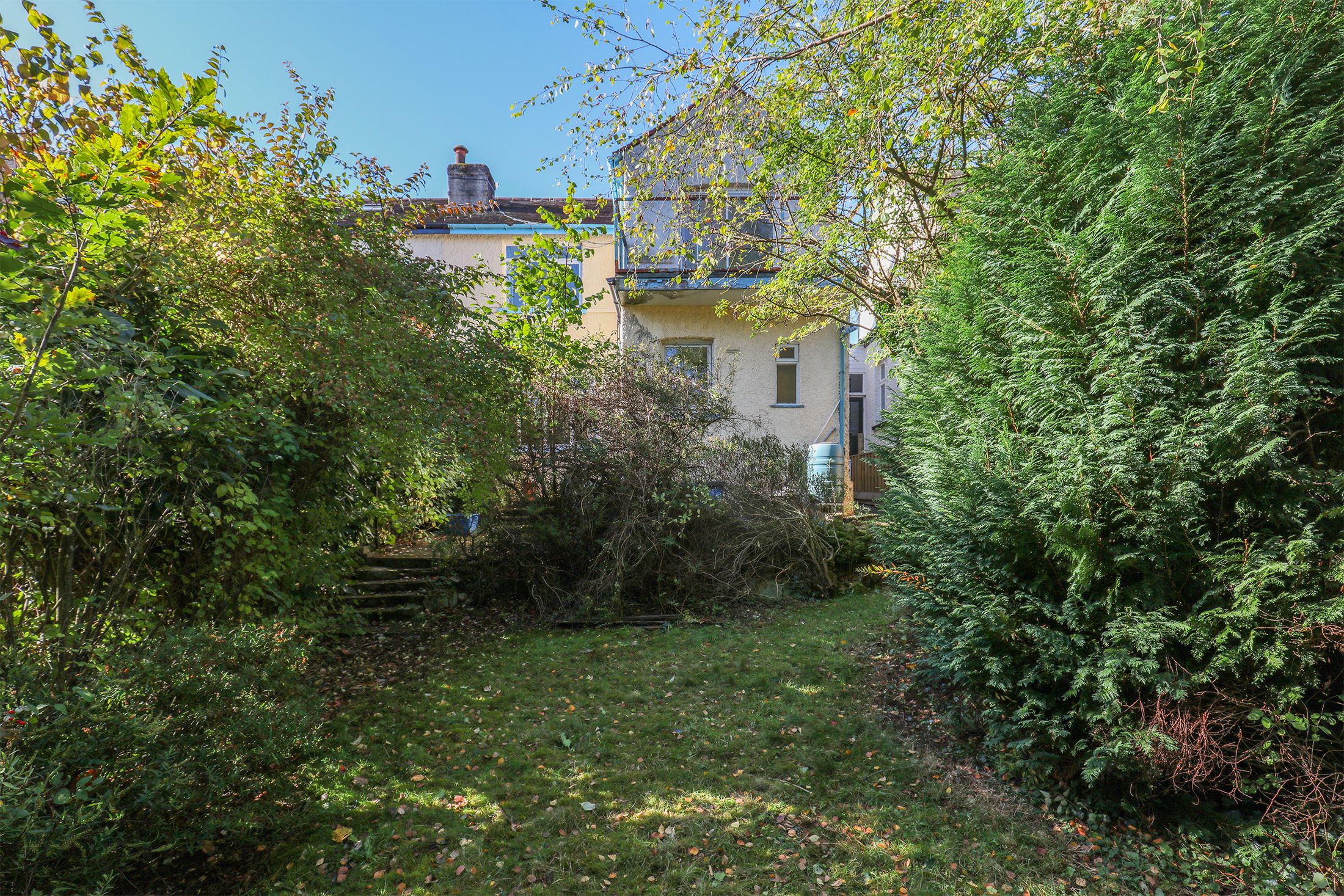 Tom Lane, Sheffield, S10 Street
