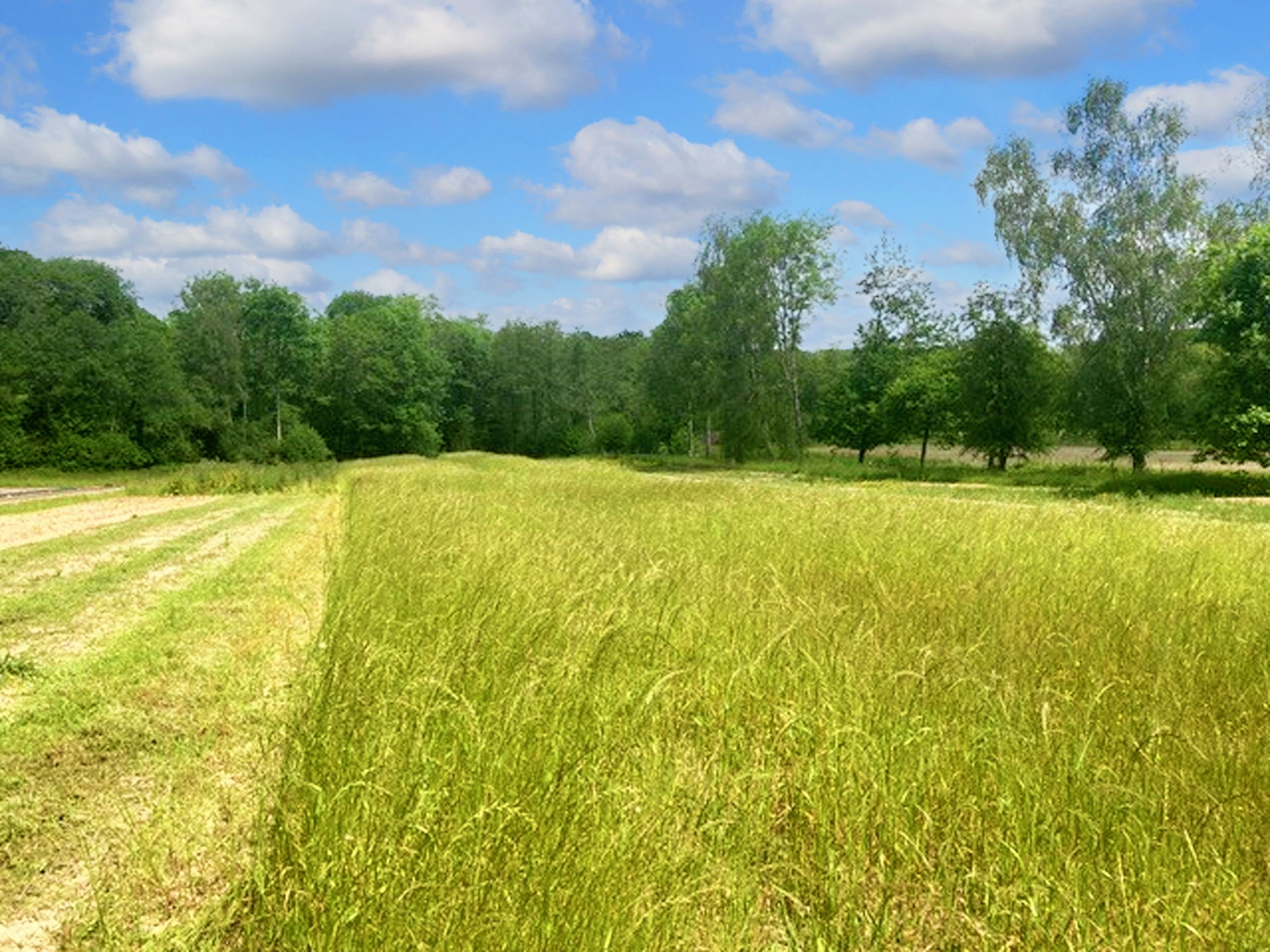 Off Priory Road, Forest Row, RH18 Street