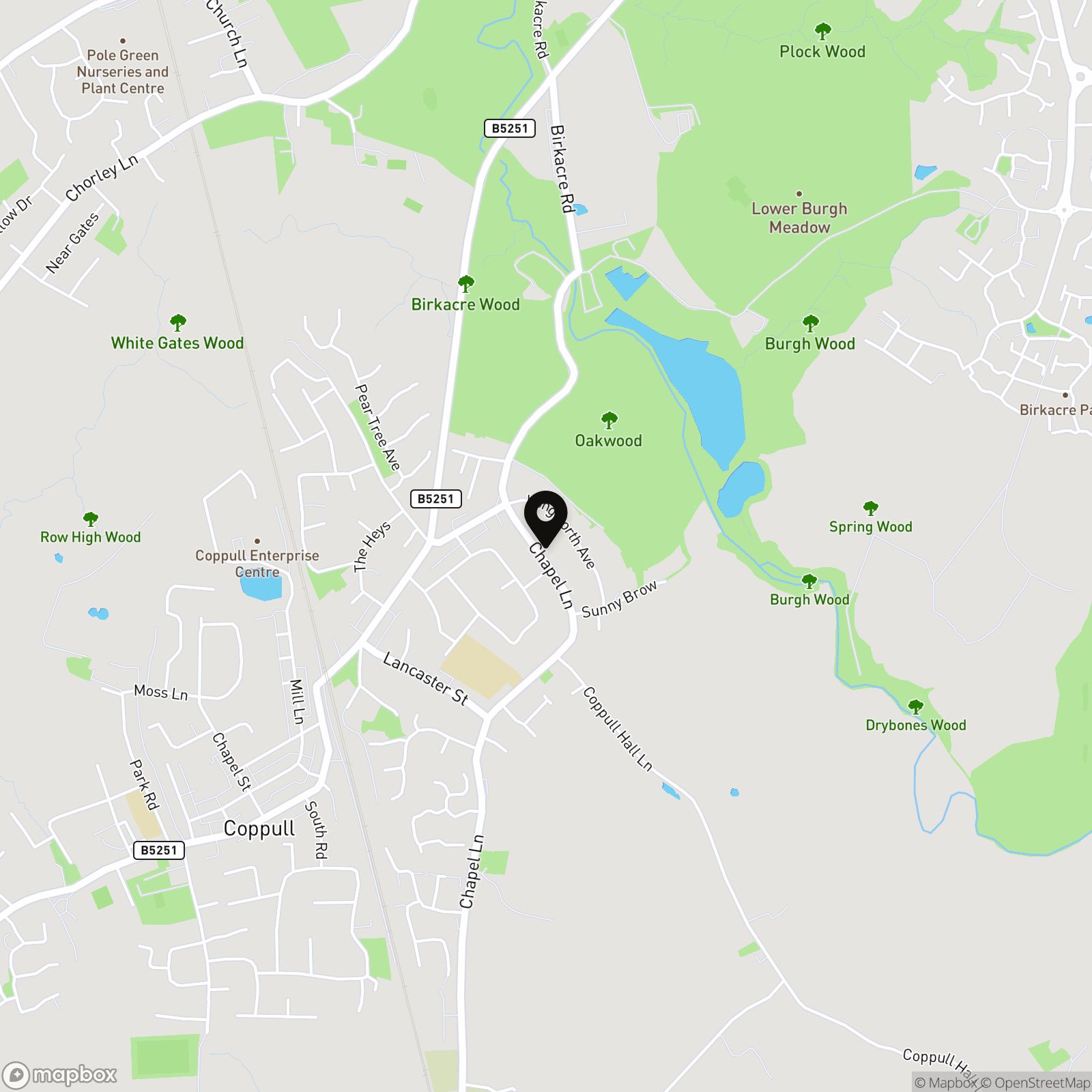 Chapel Lane, Coppull, PR7 4PG Street