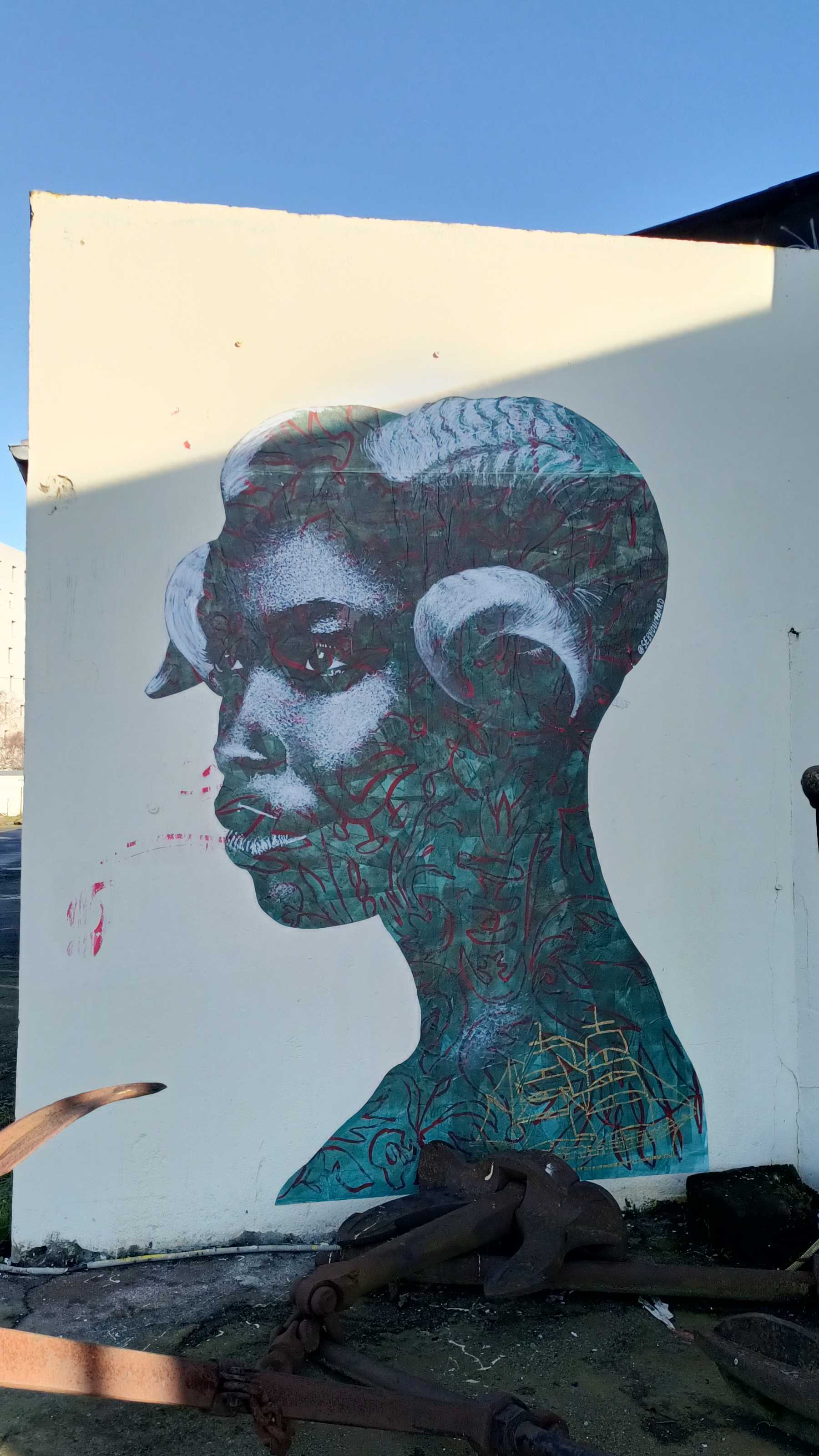 Sticking 6181  by the artist Seb Bouchard captured by Rabot in Nantes France
