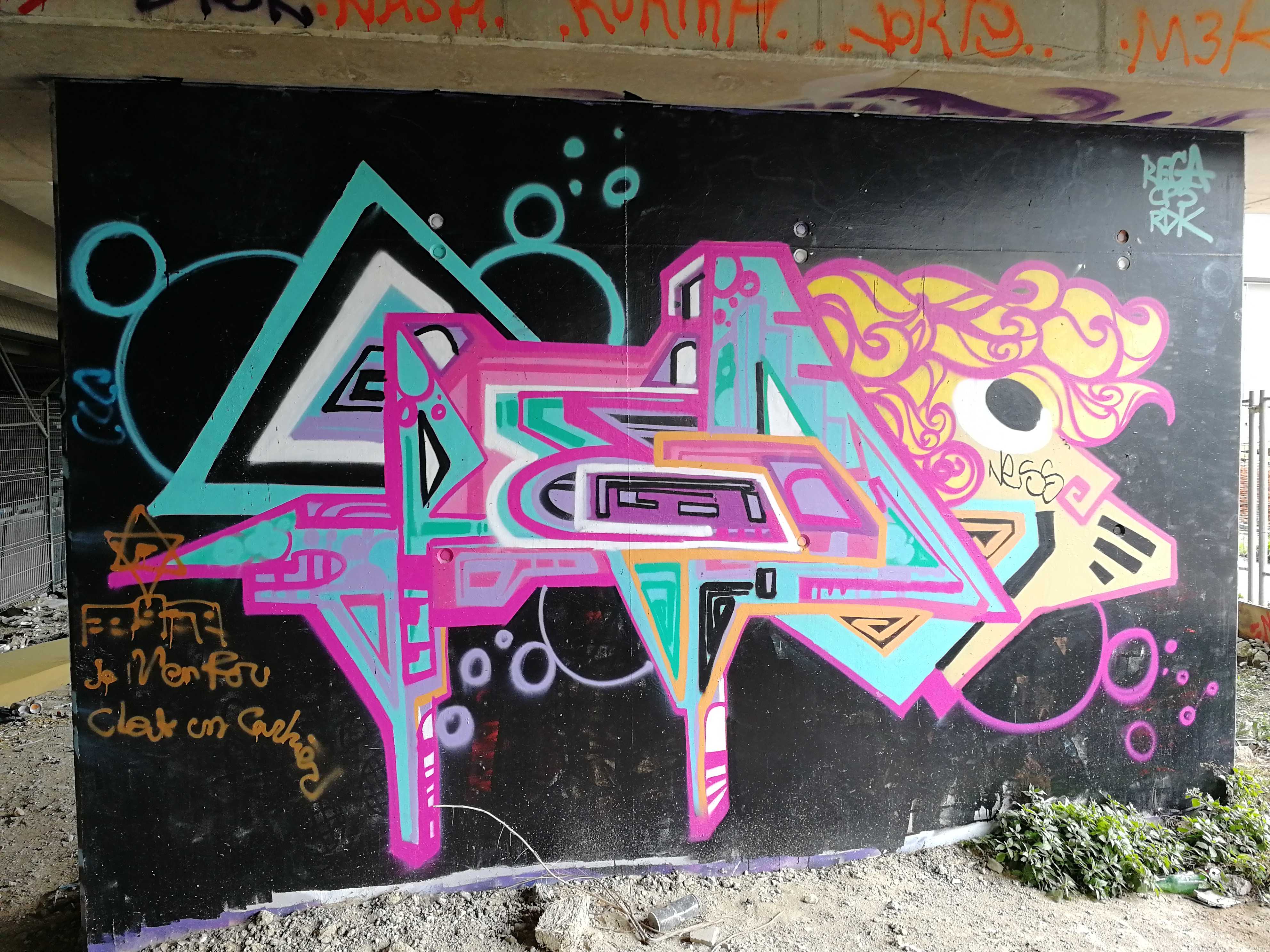 Graffiti 3906  captured by Rabot in Paris France
