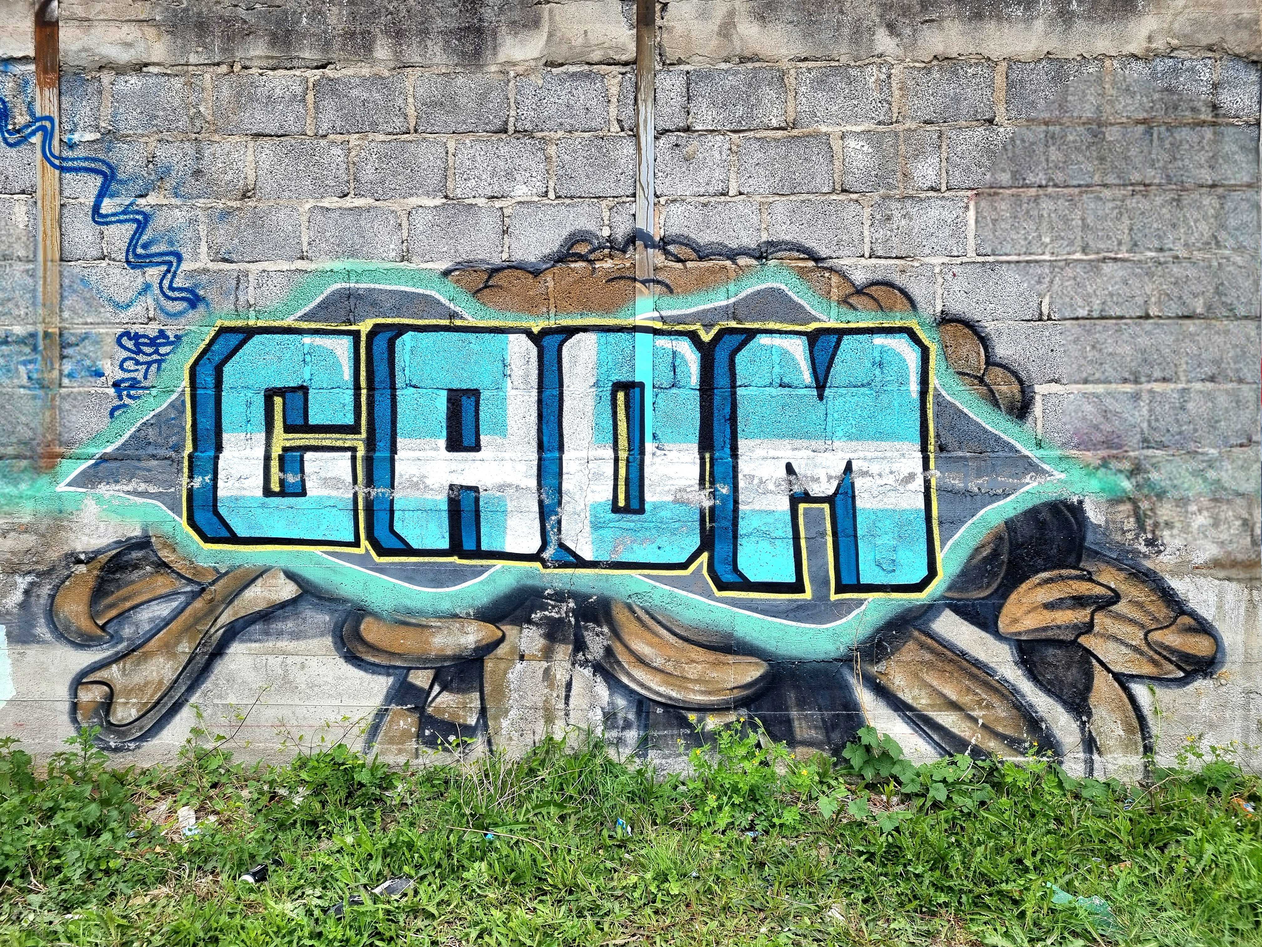 Graffiti 8632  of  in Clermont-Ferrand France