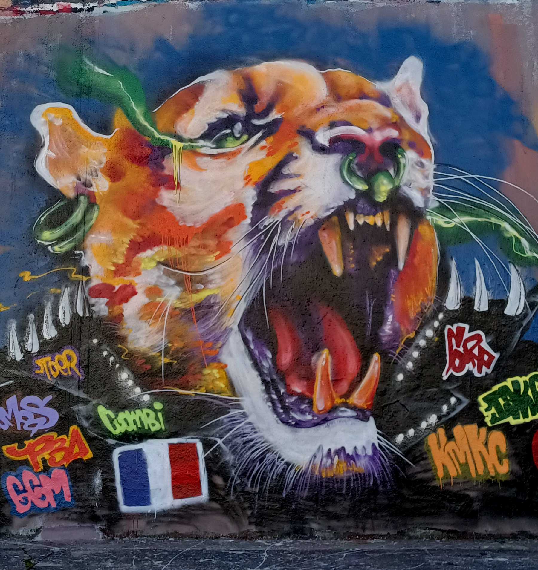Graffiti 9552  of  in Nantes France