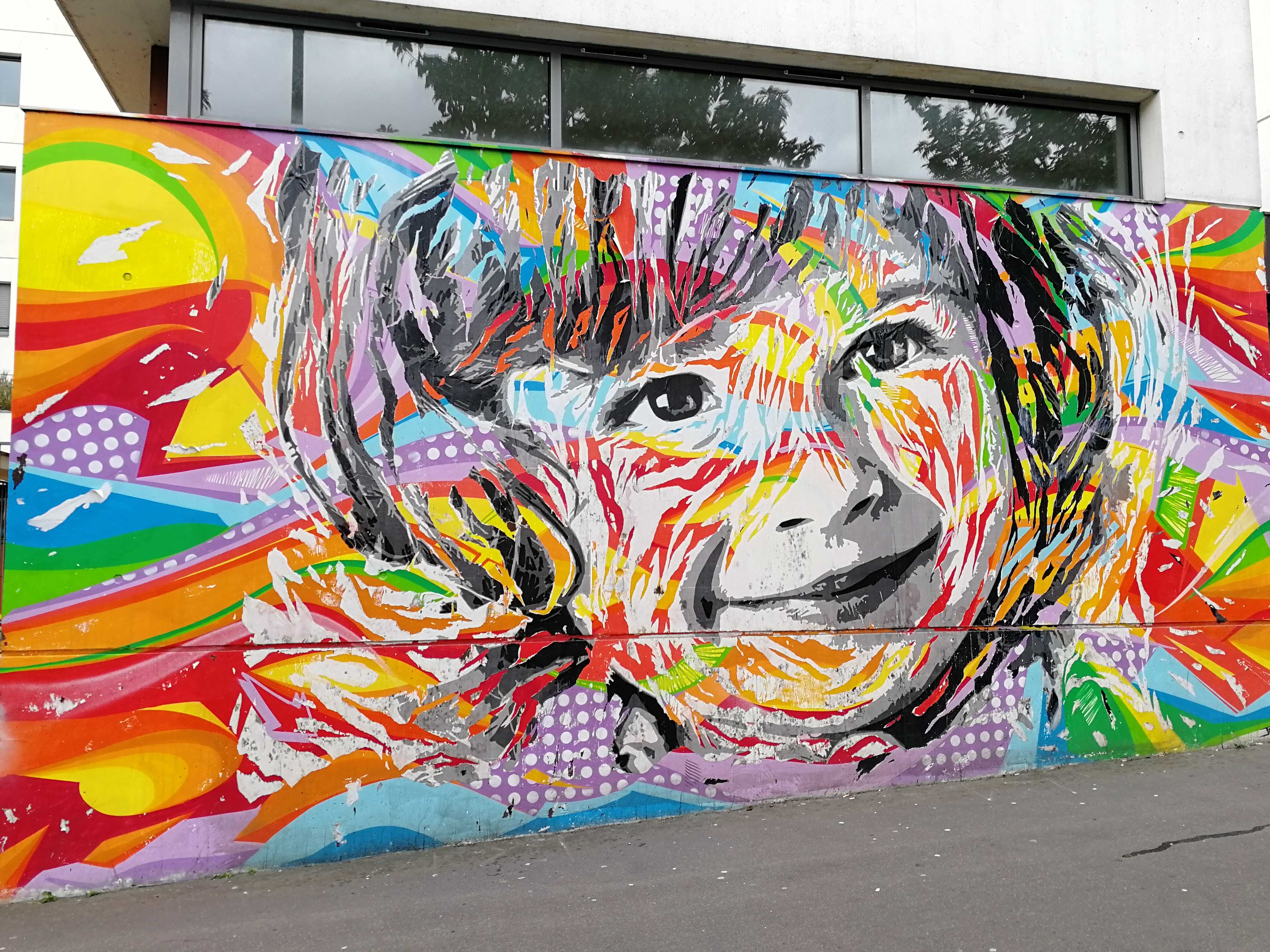 Graffiti 3956  by the artist Jodibona captured by Rabot in Paris France