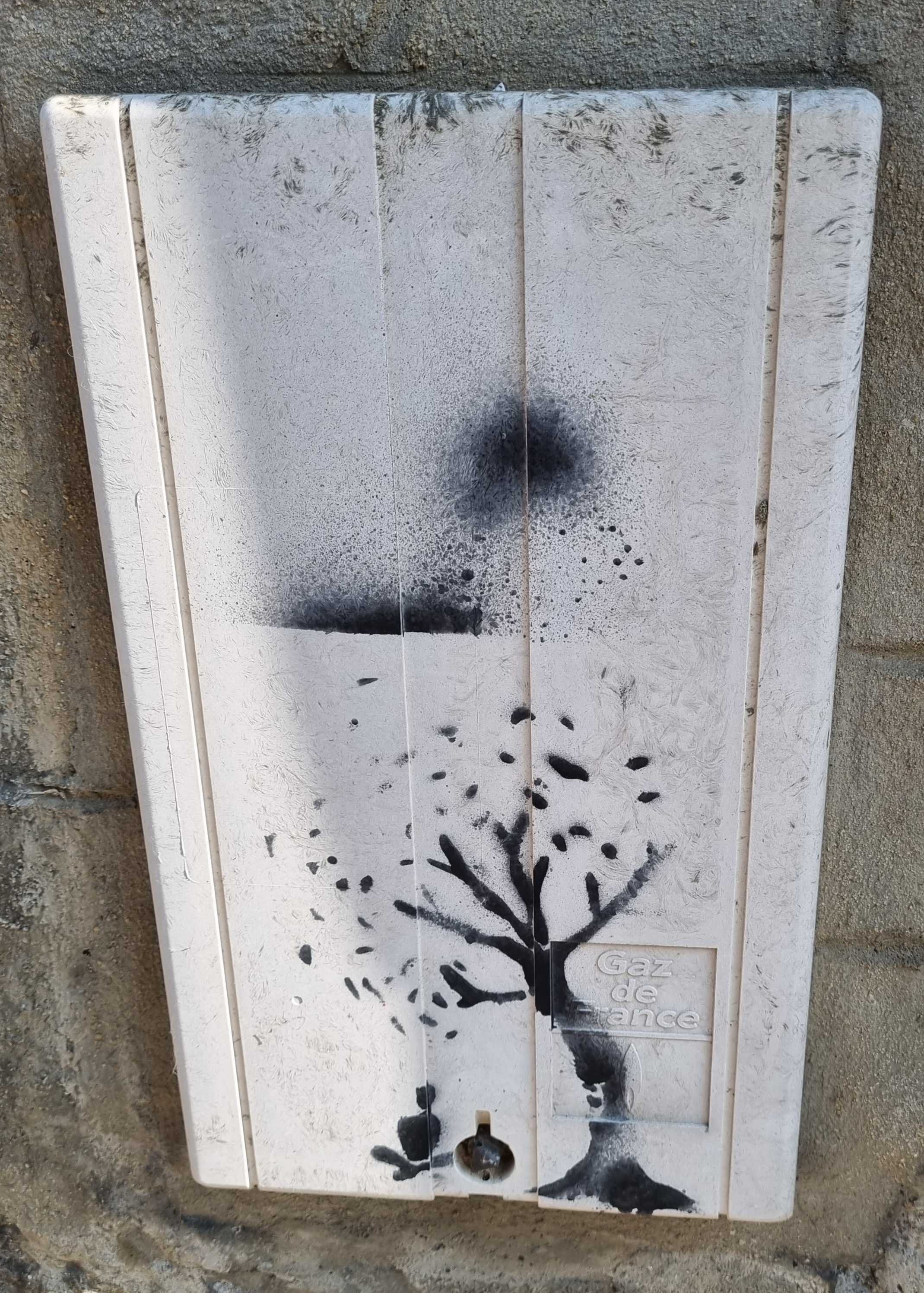 Graffiti 8396  capturé par Sylvie Denoix à Tréguier France
