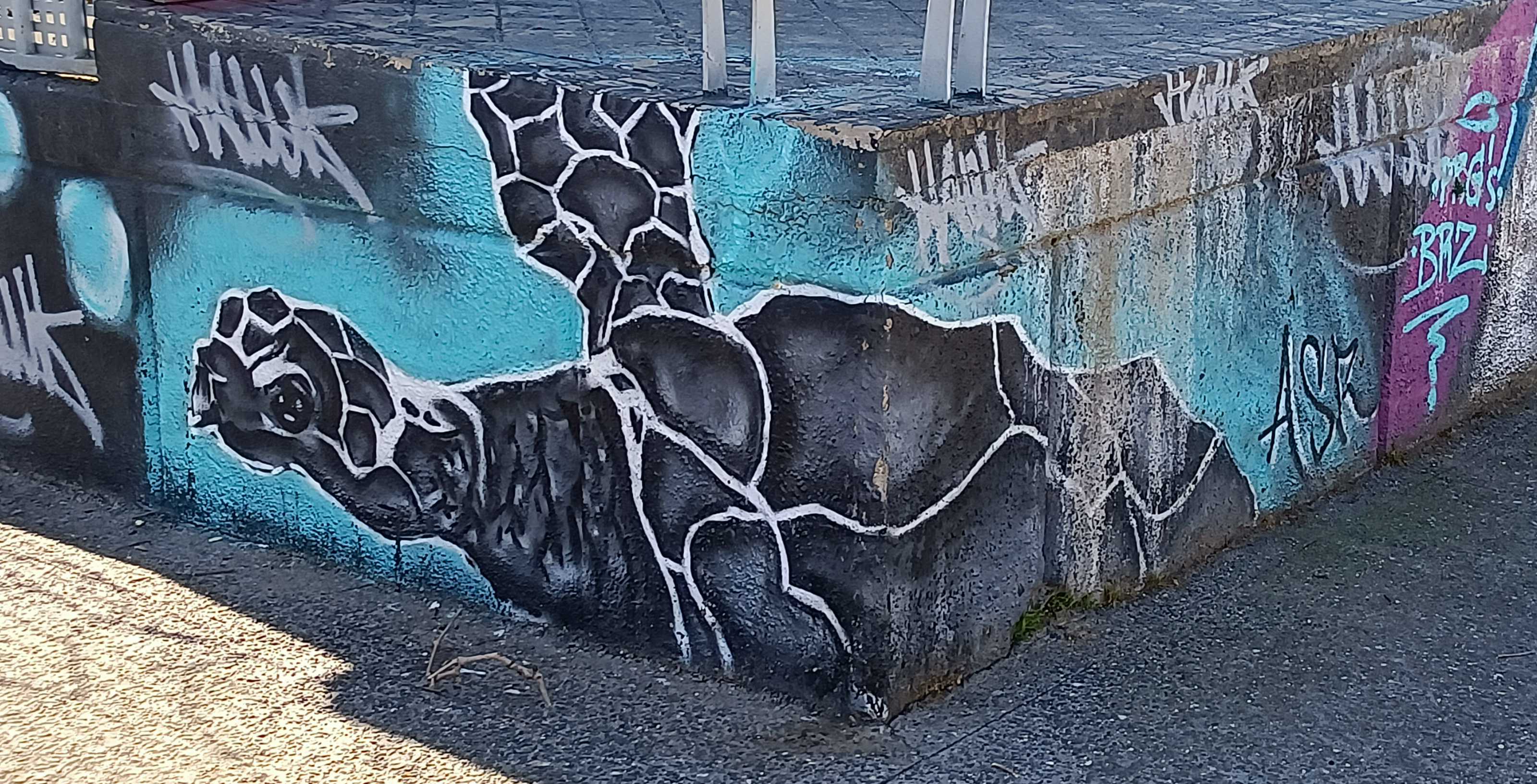 Graffiti 6780  capturé par Rabot à Madrid Spain