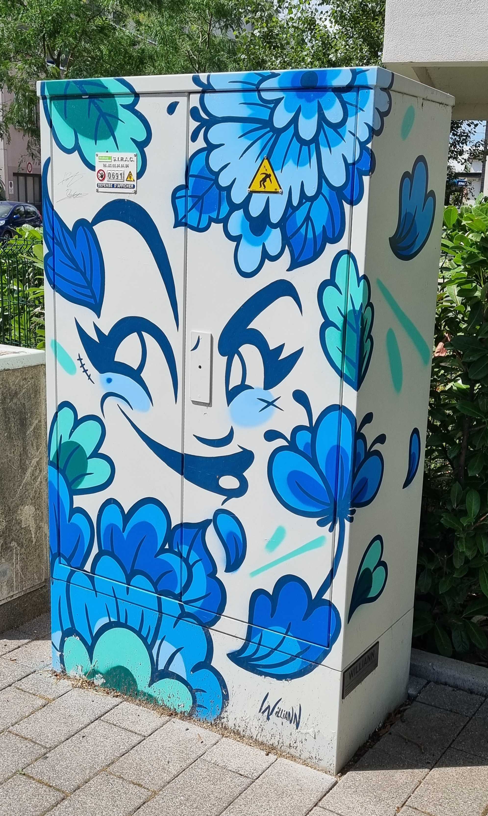 Graffiti 7685  of  in Strasbourg France