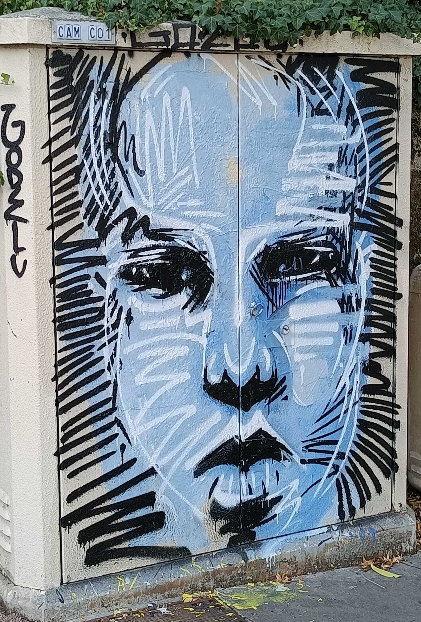 Graffiti 8080  of Godelu in Nantes France