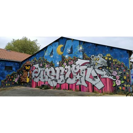  france-nantes-graffiti