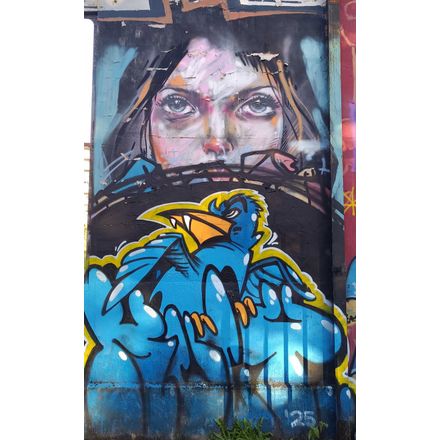  france-rennes-graffiti