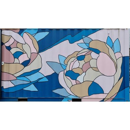  france-vichy-graffiti