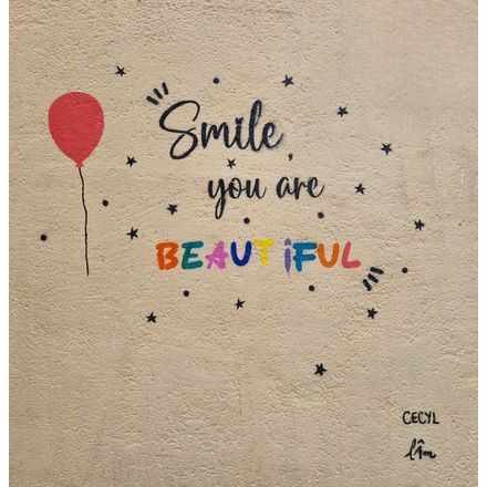 Smile you are beautiful france-clermont-ferrand-graffiti