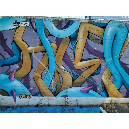  france-vallon-pont-d-arc-graffiti