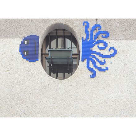 Poulpe  france-clermont-ferrand-mosaic