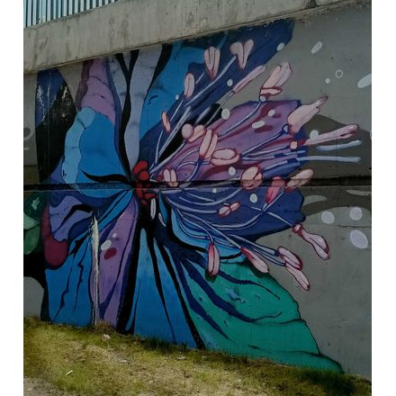  czechia-hlavni-mesto-praha-graffiti