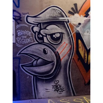 Bande de pigeons  france-paris-graffiti
