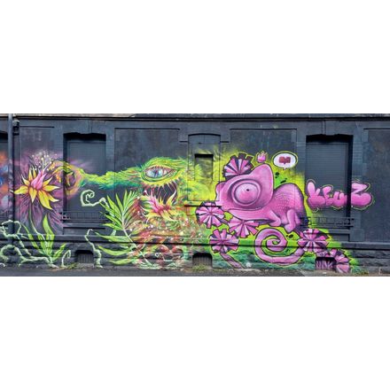  france-clermont-ferrand-graffiti