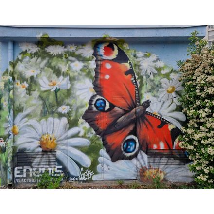  france-clermont-ferrand-graffiti