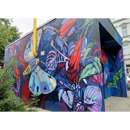  czechia-hlavni-mesto-praha-graffiti