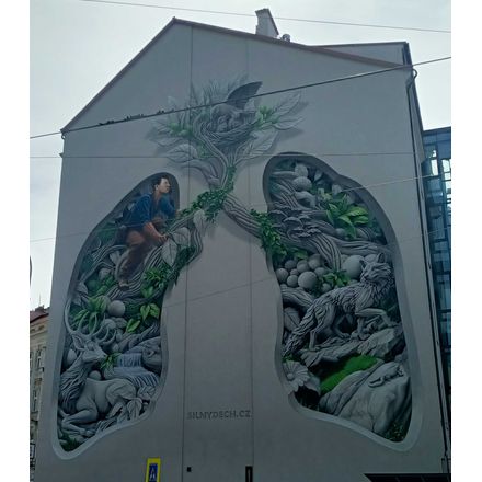  czechia-hlavni-mesto-praha-graffiti