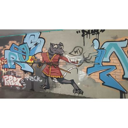  czechia-hlavni-mesto-praha-graffiti