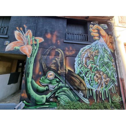  france-clermont-ferrand-graffiti