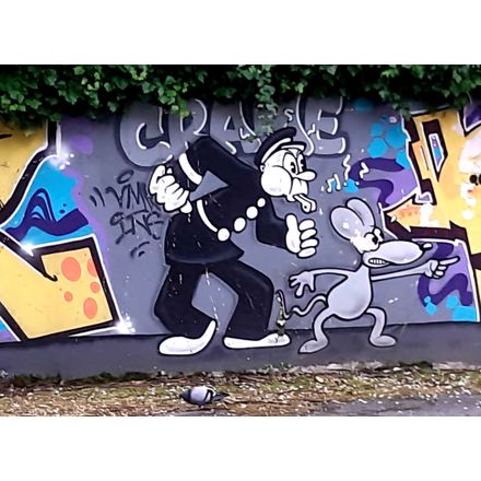  france-grenoble-graffiti