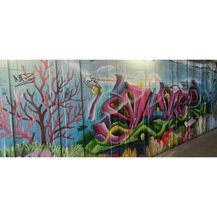  czechia-hlavni-mesto-praha-graffiti