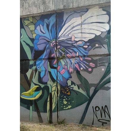  czechia-hlavni-mesto-praha-graffiti