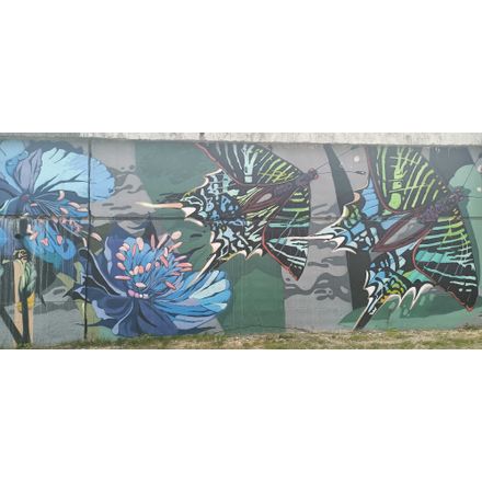  czechia-hlavni-mesto-praha-graffiti
