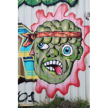  france-rennes-graffiti