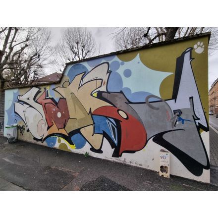  france-strasbourg-graffiti