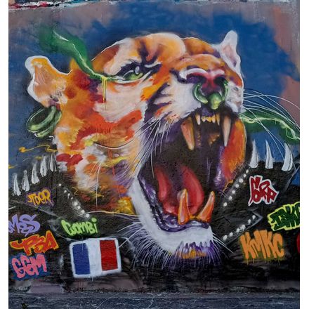  france-nantes-graffiti