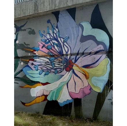  czechia-hlavni-mesto-praha-graffiti