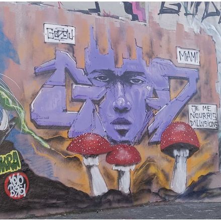  france-nantes-graffiti