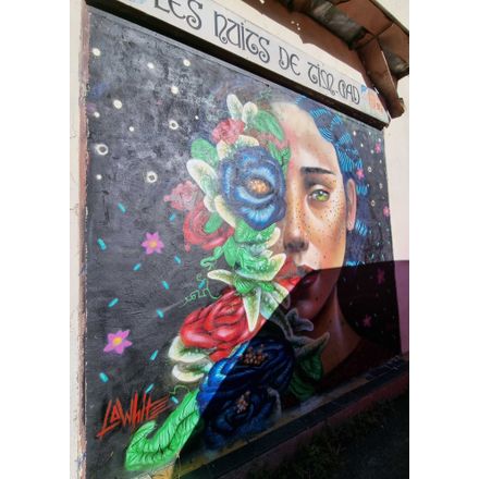  france-clermont-ferrand-graffiti