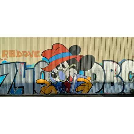  france-rennes-graffiti