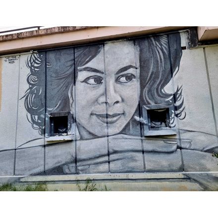 last train to skaville france-grenoble-graffiti
