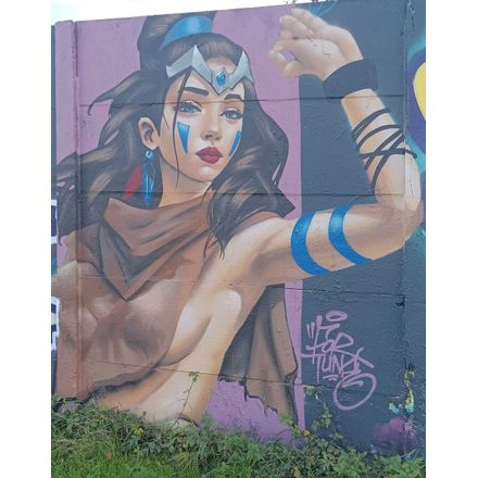  france-rennes-graffiti